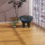 圣象多层实木复合地板暖色风家用环保耐磨木地板包安装送辅料 NM9911包安装送辅料