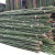 牵跃 竹竿 爬藤竹杆架篱笆栅栏彩旗杆细竹子菜园搭架	1.5cm直径 长度1.5米（50根）