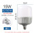 岁艺 LED节能灯泡E27大螺口球泡家用商用光源防水防尘照明灯 15W白光