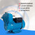 大元水泵自动自吸泵空调水泵家用增压泵循环泵水塔送水井下提水泵 1WZB-15-0.25ZE(单相）普通款