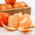 果迎鲜沃柑 5斤 橘子 新鲜水果 桔子生鲜 沃柑柑橘 酸甜 单果55-60mm