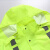 钢米 GM010 交通警示雨衣雨裤套装 公路巡逻雨衣制服 300D牛津布+PU防水层 内里高密度网眼 165 荧光绿 