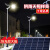 上海亚明太阳能led路灯6米新农村超亮大功率户外灯防水高杆灯100w 亚明工程款太阳能路灯-300W