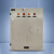立阳 LY50-TS-1标准箱 双电源 明装 600*600*250 2.0mm 白色 1