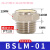气动接头平头消声器-01/02/03/04/06/M5铜质器 BSLM-01 (1分)