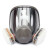 防毒面具面具喷漆专用防工业粉尘化工气体异味甲醛面罩 6800配6003七件套