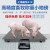 上海耀华A12高精度畜牧称重小地磅称猪称牛畜牧农业专用电子定制 1.2x2m 带围栏