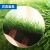 科力邦（Kelibang）仿真人造草坪地毯 塑料假草皮阳台公园装饰绿植绿色地毯 足球场草坪 加密夏草30mm KB1218