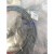 带电缆插头插座 KMYZ-9-24-M8-0,5-LED-B 196064 现货