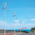 风力灯led市电路灯农村6/7/8米路灯杆220V超亮风光互补发电 6米款定制