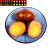 馨乐（xinle）五香蛋卤蛋休闲零食泡面伴侣 卤鸡蛋 35克/枚京鲜生 150枚整箱