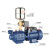 不锈钢螺杆自吸泵220V高扬程吸水泵井水自来水全自动增压泵 新一代自吸螺杆泵1500w