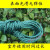 定制绳子捆绑绳尼龙绳子耐磨晾衣绳户外货车聚塑料绳晒被手工编织 1毫米550米