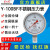 红旗牌仪表Y-100BF/YBF100径向全不锈钢压力表耐高温耐酸碱防腐蚀 0~60MPa