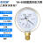 SYCIF上海仪川 耐震压力表负压表YN-60 油压气压水压液压径向 YN-60 -0.1-0MPa真空