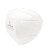Raxwell KN95防颗粒物口罩，折叠型头带式， RX-XR9501P，20个/盒 白色