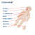 欣曼XINMAN 高级新生儿心肺复苏模拟人 婴儿CPR心肺复苏急救人体模型 新生儿窒息复苏模型（三合一版）