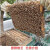 活体中蜂蜂群笼蜂种王群大棚授粉蜜蜂木框发货阿坝土蜂种蜂群 7500工蜂带开产王