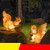 发光动物灯松鼠灯园林亮化灯景区太阳能景观灯 松鼠B款