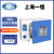 一恒电热恒温鼓风干燥箱烘箱实验室烤箱恒温小型灭菌消毒烘干箱 DHG-9070A(至250℃/80L)
