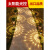 动真格（DongZhenGe）太阳能户外装饰草坪灯防水别墅花园草地景观布置地插光影灯AA 棕壳-白光-12个装