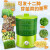 京悠雨豆芽机家用全自动智能多功能发芽豆牙盆神器桶自制生绿豆芽罐 绿色2层