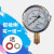 定制上海宜川上岭压力表双刻度0-0.25MPa 0-138三申器配件 0-0.25MPA