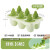 茶花（CHAHUA）冰块模具硅胶家用冰格盒冰箱冷冻雪糕冰棍食品级制冰盒带盖 (PP材质)森林冰棒模-绿色-单个