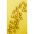 染色ps微球单分散聚苯乙烯染色微球 20毫升 5%固含量50mg/ml 尺寸颜色可备注