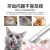 KOJIMA宠物猫咪狗狗牙刷牙膏套装口腔清洁减轻口臭乳酸菌 KOJIMA猫专用牙刷