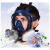 君御防毒喷漆防尘全脸化工电焊防烟生化防护专用口罩护面罩 面具 一个价 48小时 