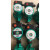 定制手水泵16屏蔽泵 增压泵暖气锅炉循环泵 格兰富UPB3210