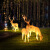 led防水卡通动物造型景观灯室外园林工程亮化室外灯 长颈鹿-B款