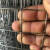 冷镀锌铁丝网围栏网养殖网钢丝网铁网格养鸡网玉米网防裂抹墙网 1米高1.9毫粗5厘米孔17米