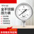 北京布莱迪BLD仪表YTH63F不锈钢气液油耐高温真空全钢指针压力表 001MPA现货