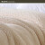 斯坦梅兹毛毯薄款【双层仿羊羔绒】美式冬季保暖盖毯珊瑚绒毯被子单人双 松石蓝(双洋洋) 100cmX150cm（重2.08斤）