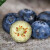 愉果（yuguo）新鲜云南蓝莓125g装 时令水果 4盒装