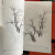 正版百树画谱 线描画谱白描工笔画谱树木书中国画线描树木白描