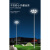 led高杆灯广场灯8米12米15米20米25米30米球场灯户外升降式中杆灯 8米3头100瓦LED