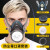 代尔塔（DELTAPLUS）防毒口罩面具全面罩工业防尘喷漆专用防护罩面罩粉尘二手烟呼吸 防尘毒套装+60片滤棉