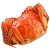 蟹仙尊六月黄大闸蟹 去绳足重生鲜鲜活螃蟹现货礼盒 六月黄0.5-0.8两2只（试吃装）