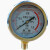 定制适用江南牌空压机储气罐气泵压力表1.6MPA轴向径向耐震气压表水压表 YZ100(0-1.6MPA)M20