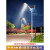 路灯6米新农村户外照明灯杆LED大功率超亮防水锂电 5米50W道路灯