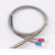 仿针型铠装热电偶WRNK-191 K型热电偶 E/J温度传感器测温电阻 直径Φ1*300MM