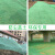 定制适用盖土网防尘网建筑工地绿网覆盖网绿化网裸土遮盖网绿色环保密目网 绿色8针8米宽30米长 绿色