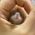 采缇西班牙睡鼠活体宠物拇指鼠幼崽活物自家繁殖好养活疫苗包活 睡鼠一公一母(40天左右已疫)