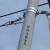 24芯光缆耐张串ADSS预绞丝耐张线夹48芯OPGW光纤架空拉线转角金具 200-300米跨距 ADSS光缆双绞丝-