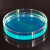 海斯迪克 HKQS-150 加厚玻璃培养皿 细胞培养高硼硅培养皿 玻璃高透明平皿 90mm(10个) 