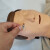 佳悦科教通 心肺复苏及除颤模拟人带伤情评估软件无线连接训练考核(简易款） JY/BD80800