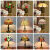 欧美式复古彩色玻璃酒吧卧室床头台灯创意地中海餐厅老调光灯 05-双色玫瑰 拉线开关